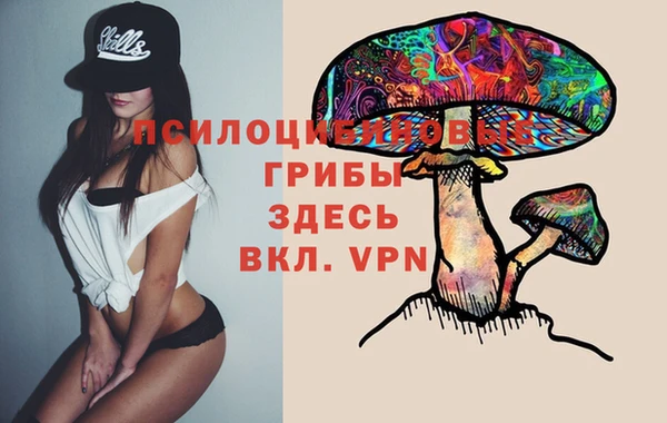 гидра Абдулино