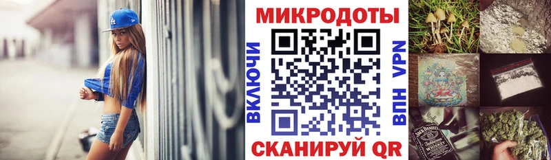 Псилоцибиновые грибы Psilocybine cubensis  закладка  Юхнов 